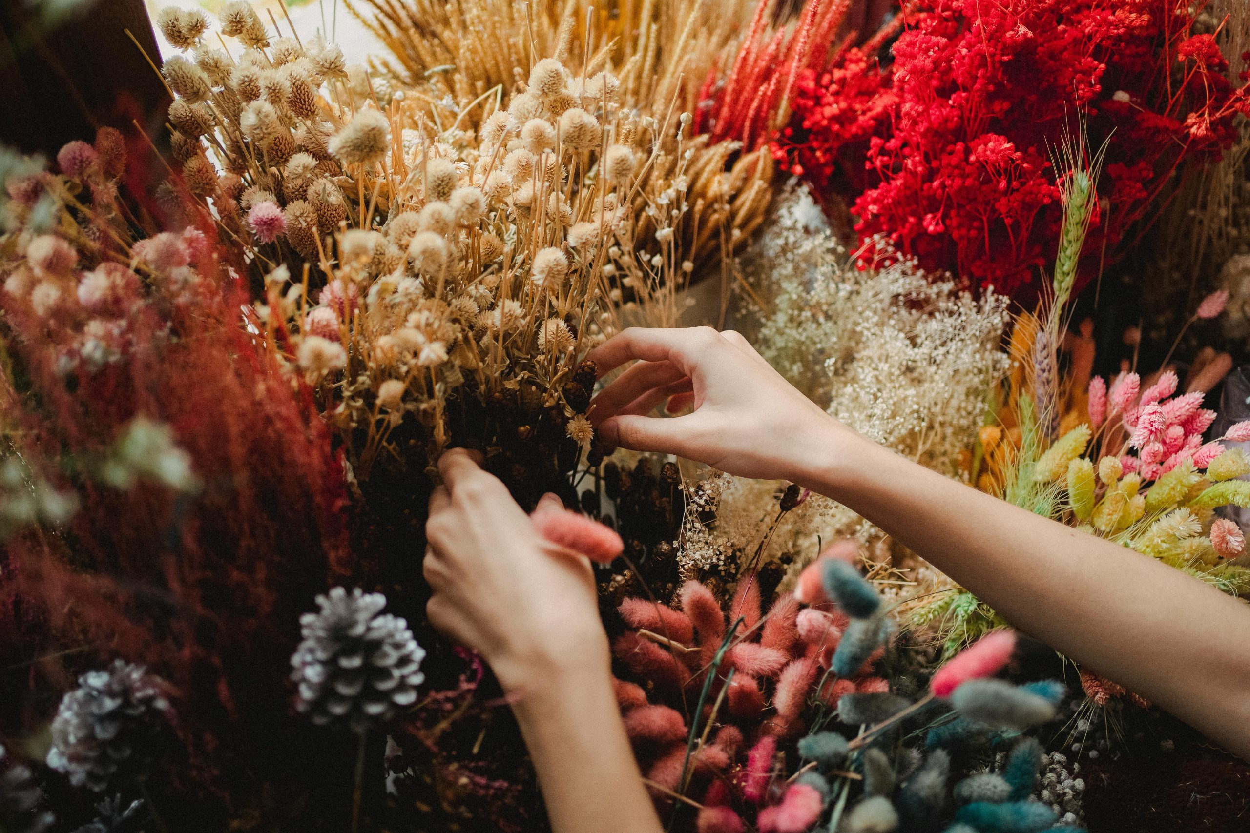 Hands arranging vibrant dried flowers in a florist shop, showcasing a colorful display of flora.